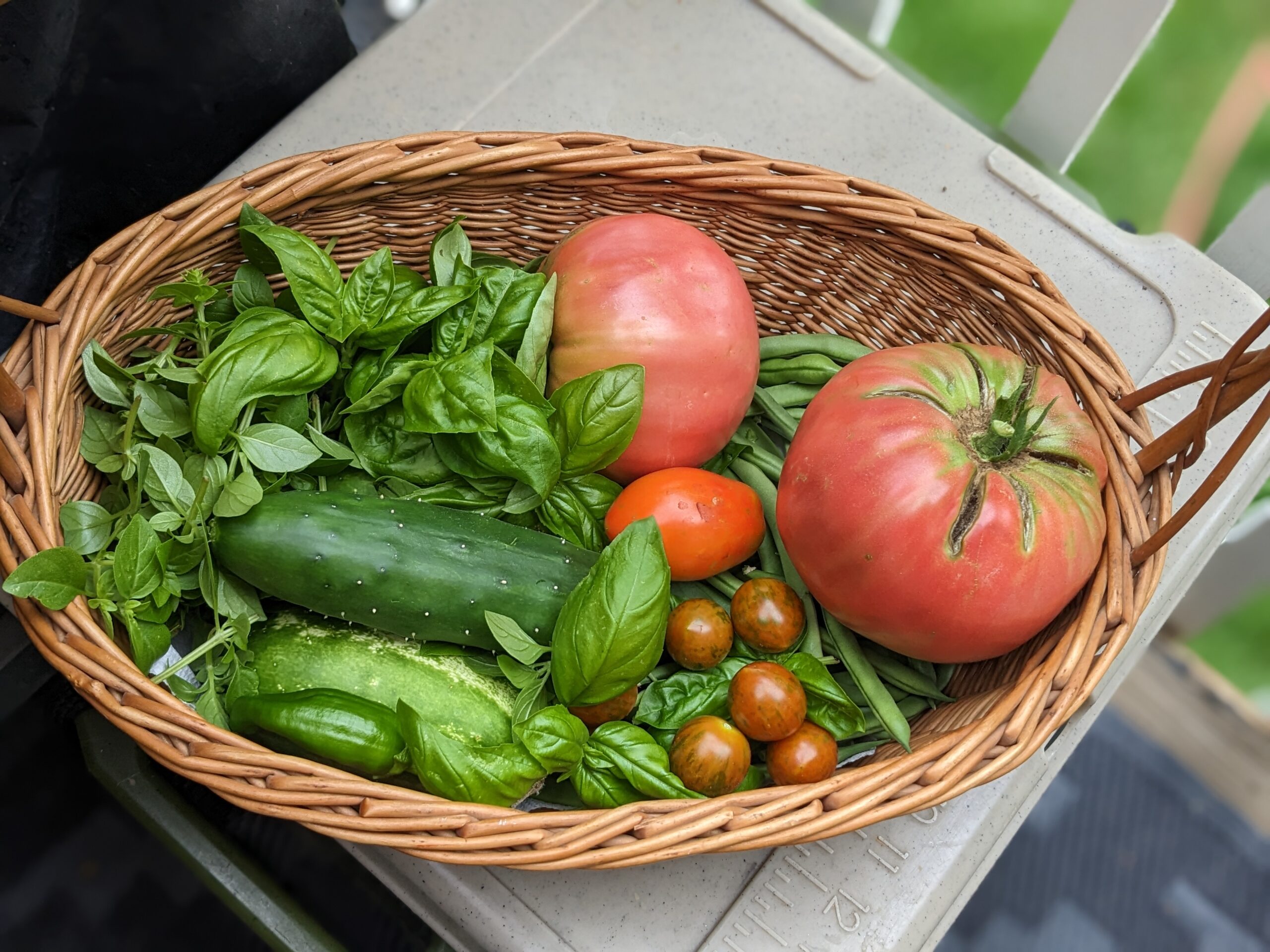 Read more about the article Taking Stock: How I organize my seed collection and prepare for the next garden season