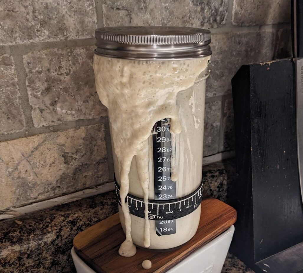 Read more about the article From Failure to Flour: How I Finally Mastered A Sourdough Starter