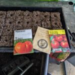 “From Seed to Sprout: My Seed-Starting Setup”